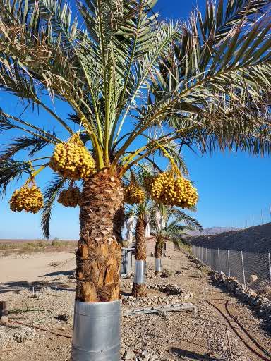 [Thumbnail for 1584.jpg]