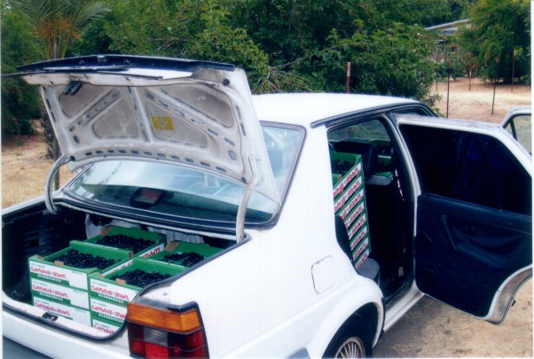 [Thumbnail for Tut-10.jpg]