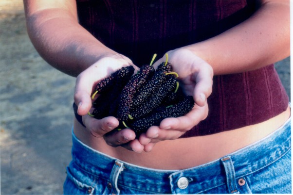 [Thumbnail for Tut-9.jpg]