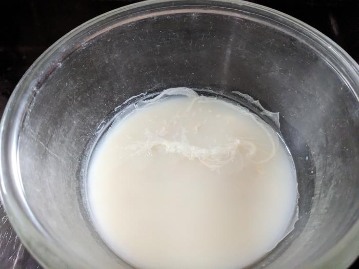 Five day sowans, with biofilm.