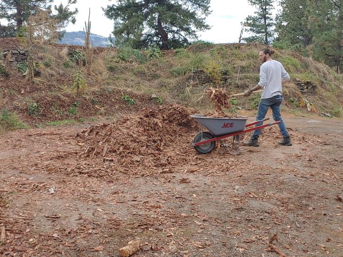 Tree bark from a local round lumber yard is one of our go-to sources of mulch. 