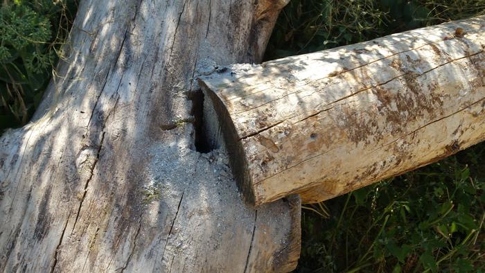  wood-ash-log-joint