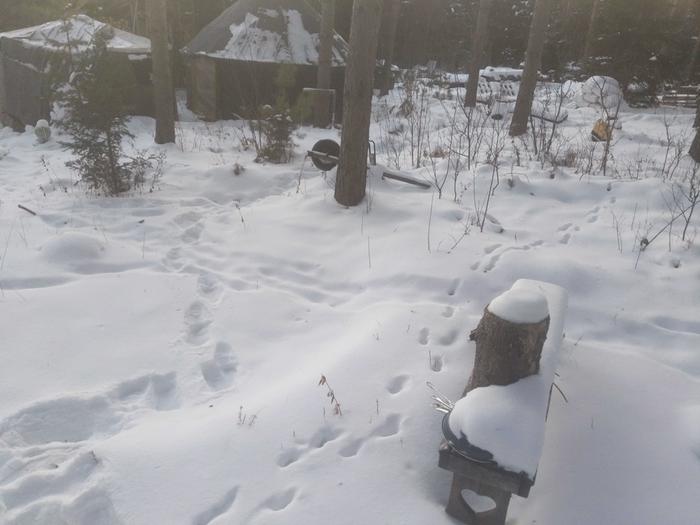 [Thumbnail for CampTracks.jpg]