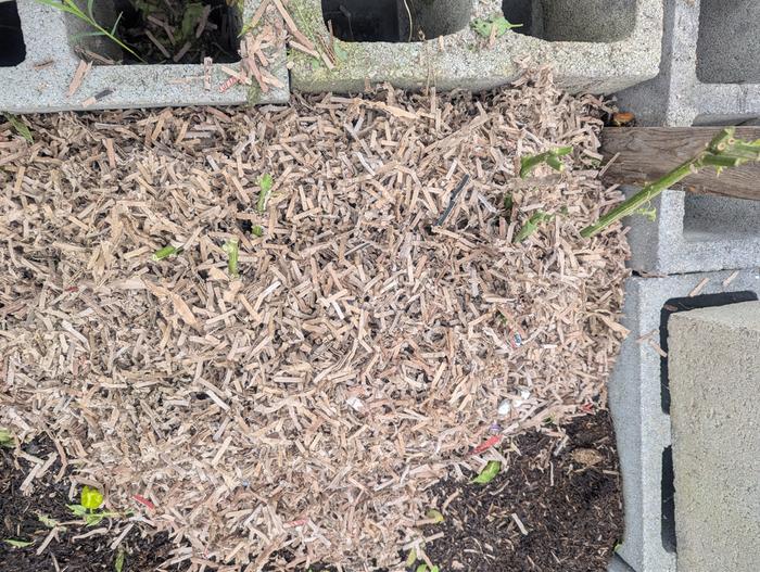 mulched jalapeno peppers 