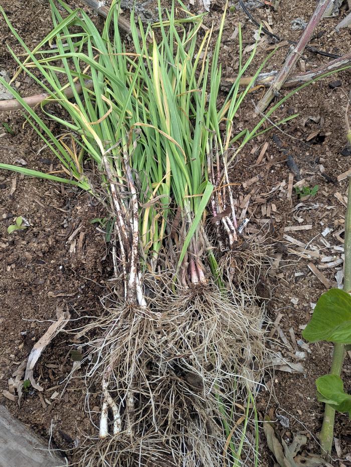 [Thumbnail for PXL_20251206_215656908.jpg]