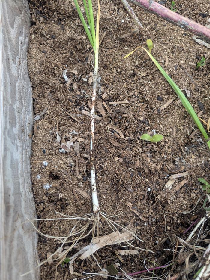 [Thumbnail for PXL_20251206_215704346.jpg]