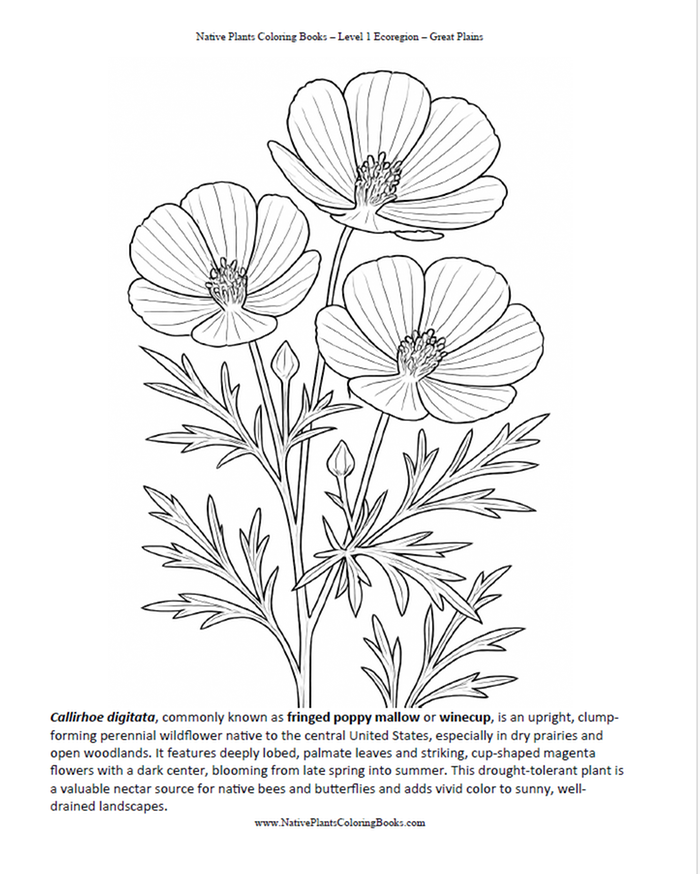 [Thumbnail for Winecup.png]