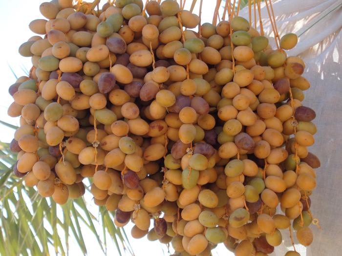 [Thumbnail for 24.JPG]