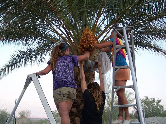 [Thumbnail for 19.jpg]