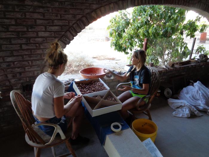 [Thumbnail for 22.JPG]