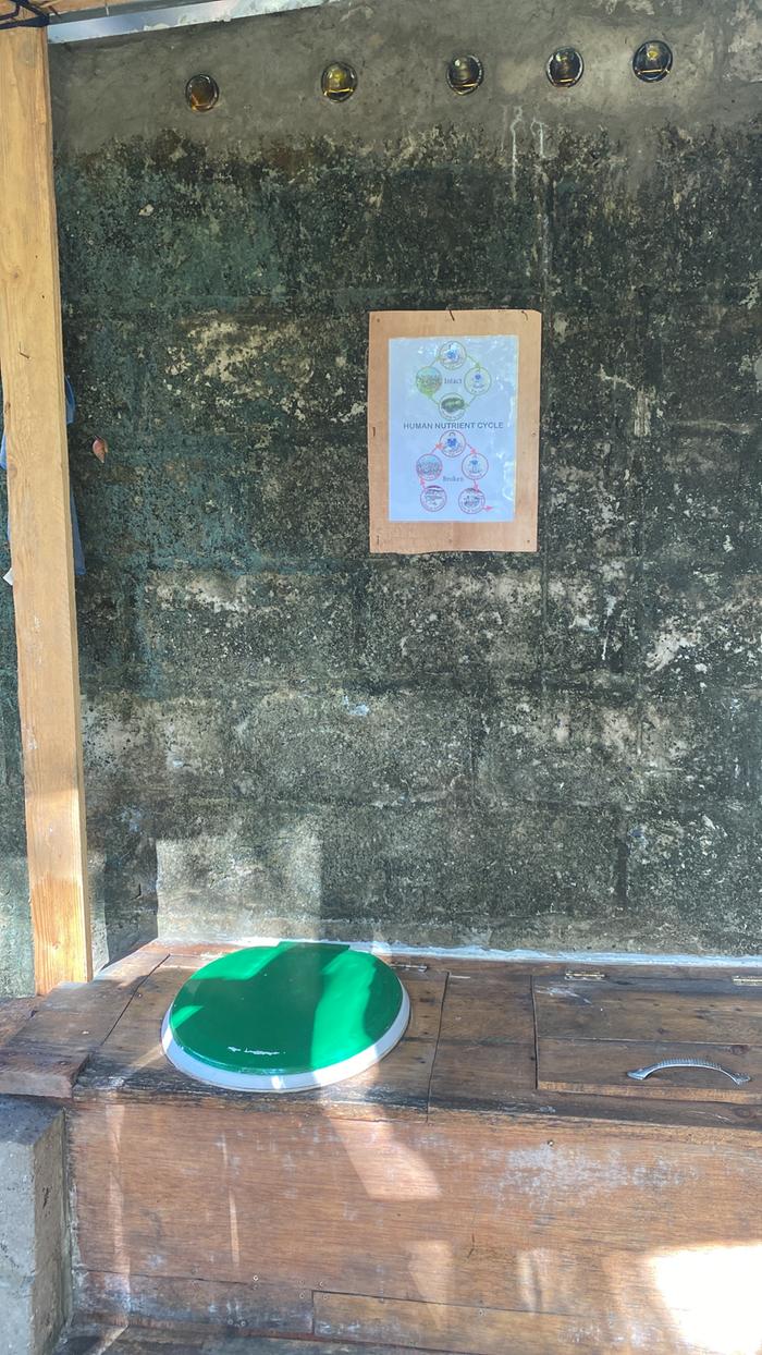 1st try (termites loved it)