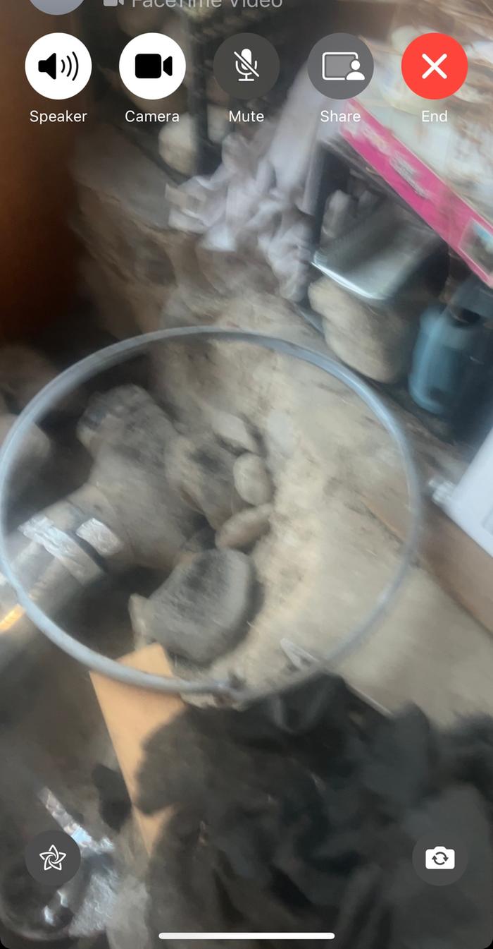 While being built, circle indicates where barrel will be
