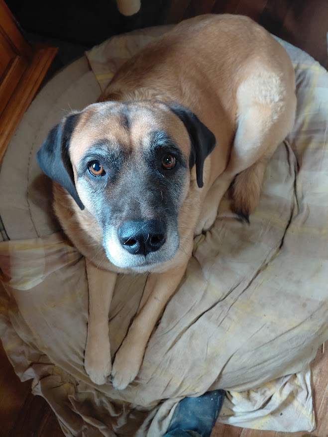 Molly, "when is my spa day dad?"