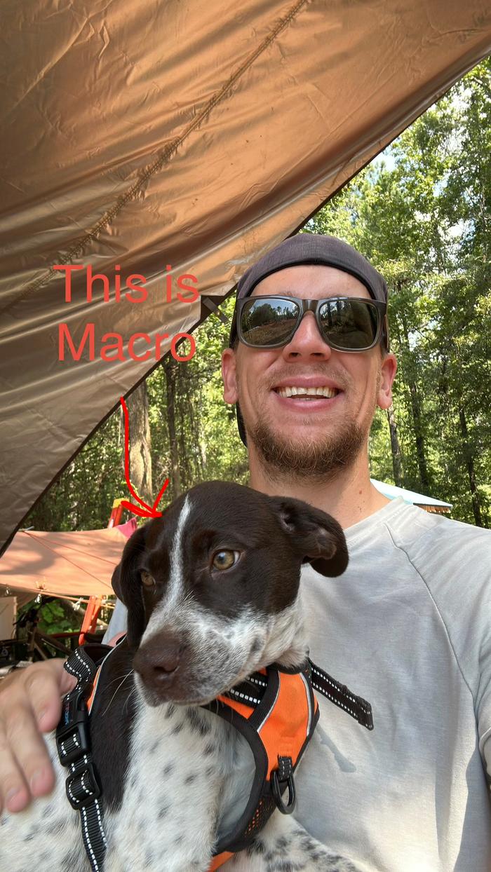 [Thumbnail for EA35195A-96B6-4CED-B7B8-AFF8333134BE.jpeg]