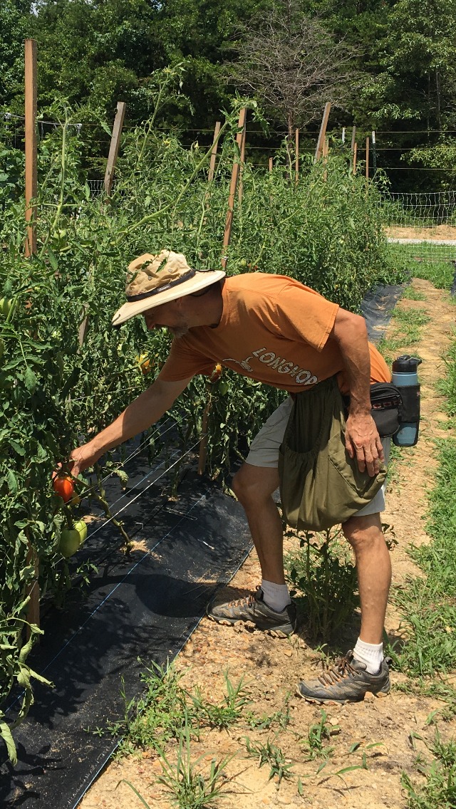 [Thumbnail for me-harvesting.jpg]