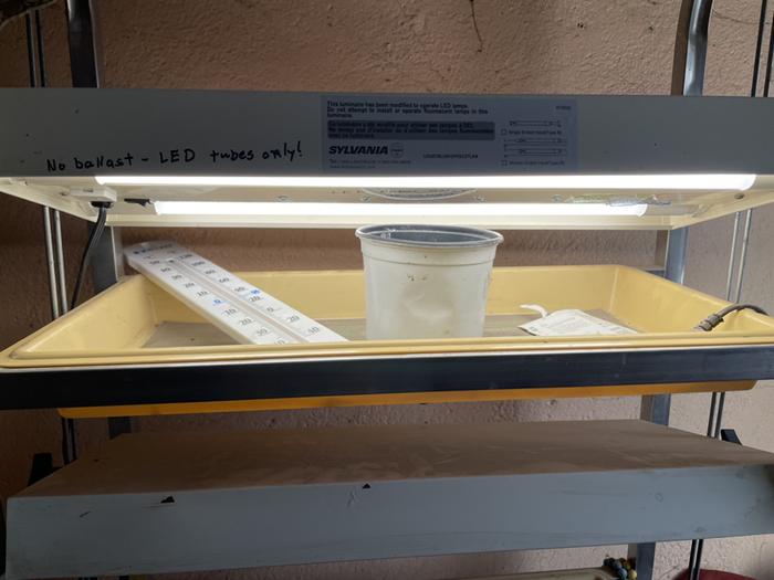 [Thumbnail for NewLEDtubes.jpg]