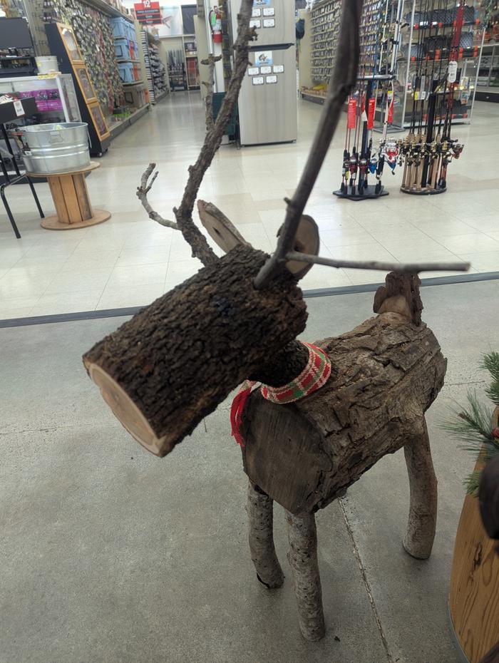 [Thumbnail for PXL_20251124_160346762.MP.jpg]