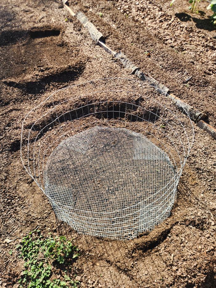 [Thumbnail for 20251005_091943.jpg]