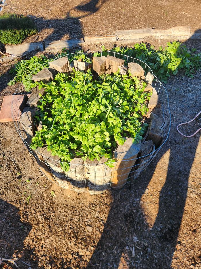 [Thumbnail for 20251215_143002.jpg]