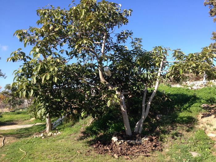 [Thumbnail for IMG_1025.jpg]