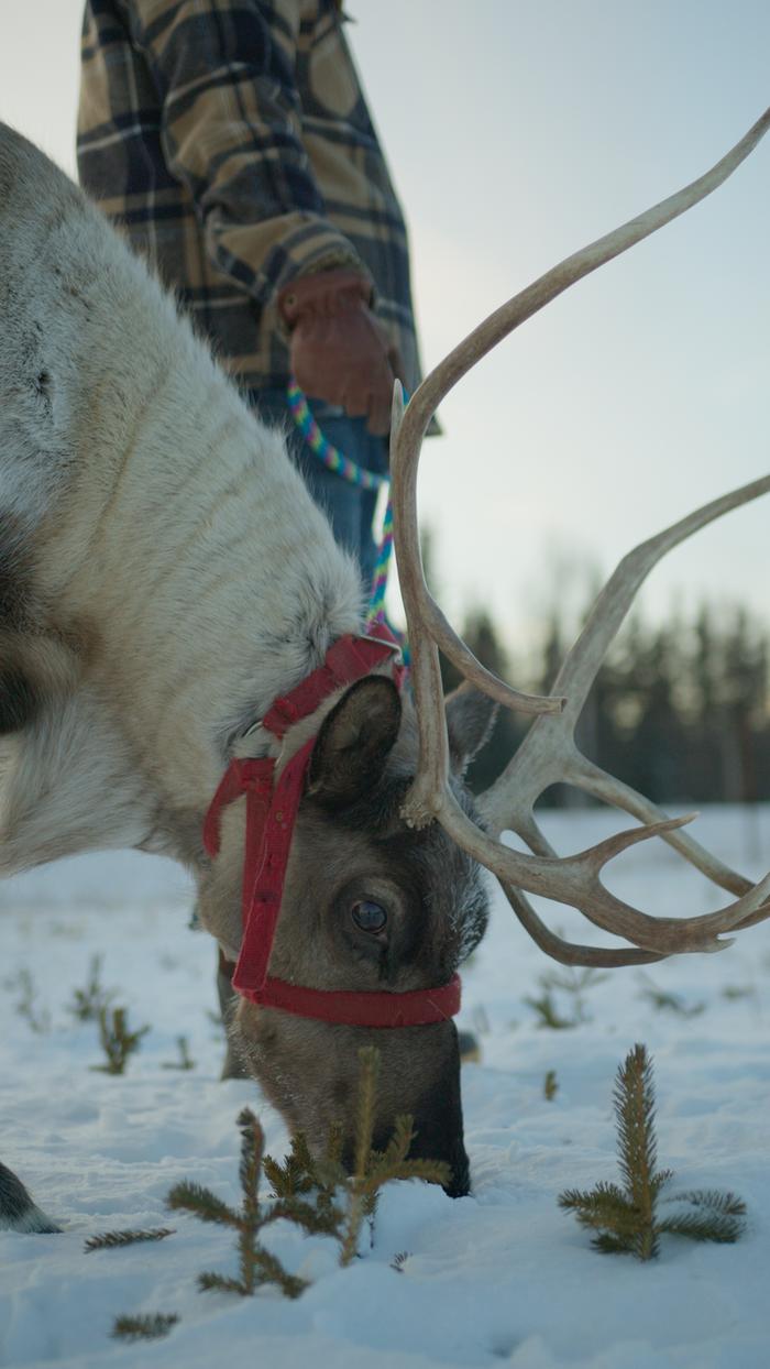 [Thumbnail for Still-2025-12-10-173520_1.10.1-12.41.41-PM.PNG]