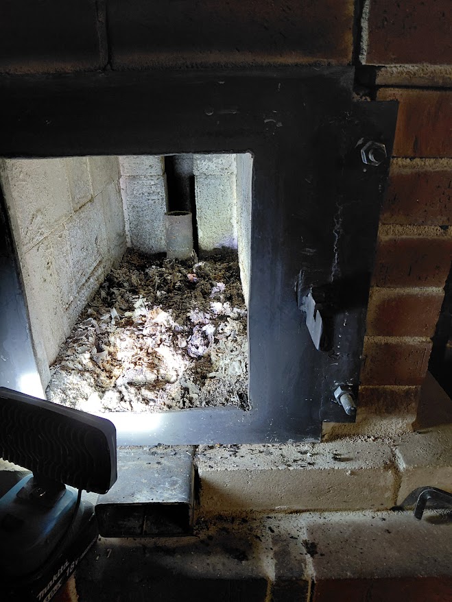 shop dragon before cleaning