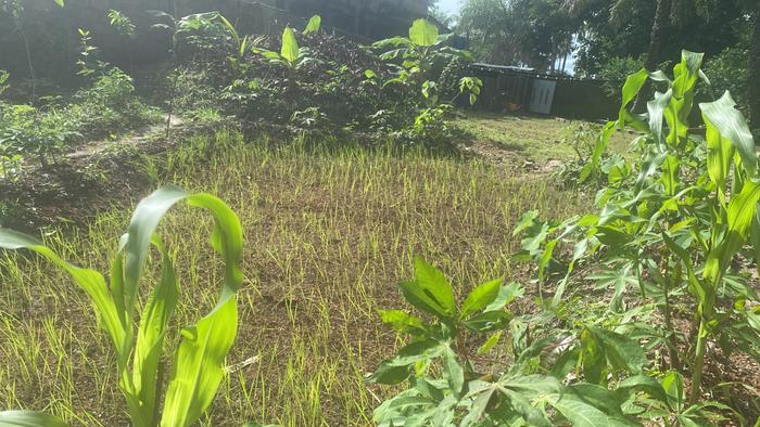 [Thumbnail for 5A08914F-8ECA-4BDD-9637-57E264EF97E3.jpeg]