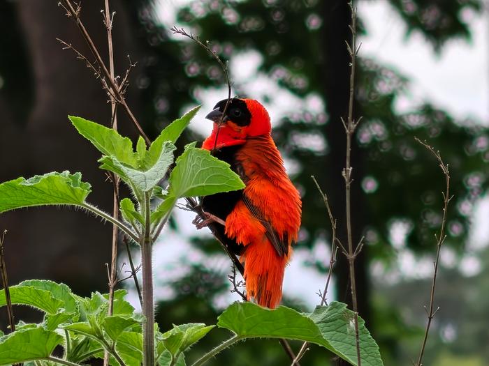 [Thumbnail for IMG20250830094326.jpeg]