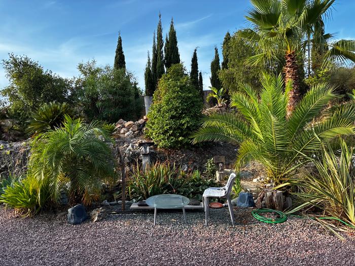 [Thumbnail for IMG_0887.jpeg]