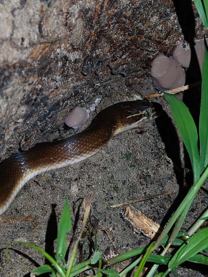 [Thumbnail for IMG20250811200226.jpeg]