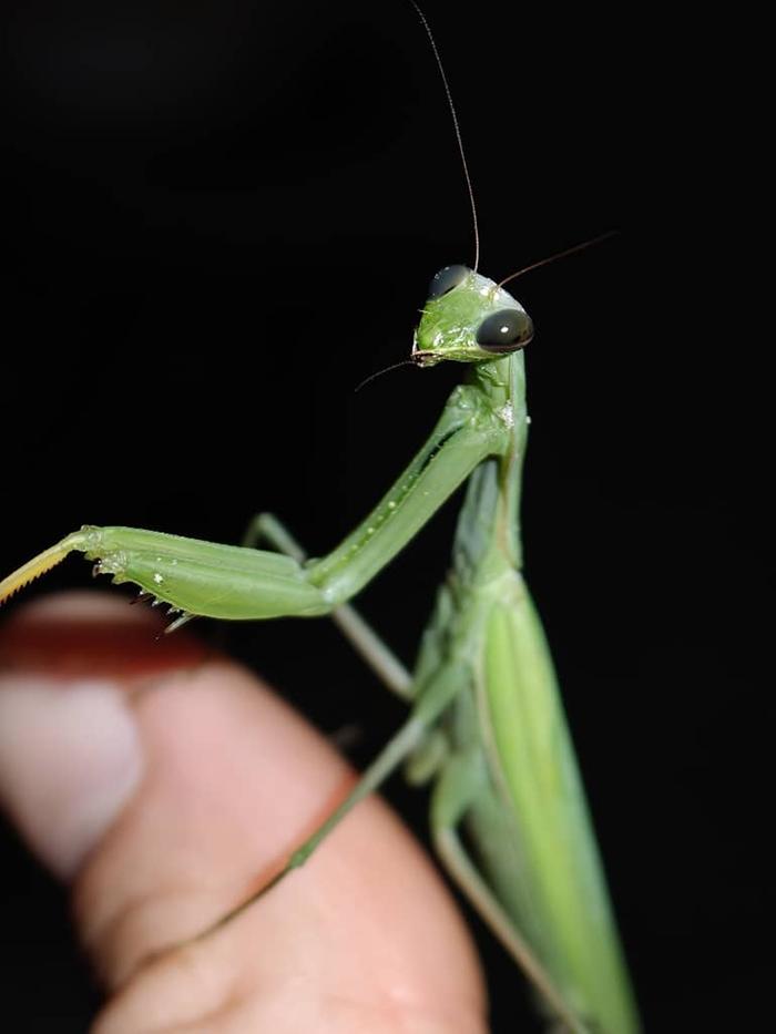 [Thumbnail for 334567ac-67a0-42a2-a9e3-361171de4b0e.jpeg]