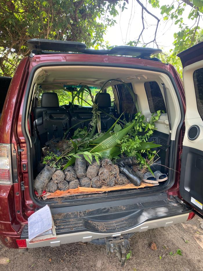 [Thumbnail for IMG_0468.jpeg]