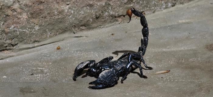 [Thumbnail for IMG20250705205445.jpeg]