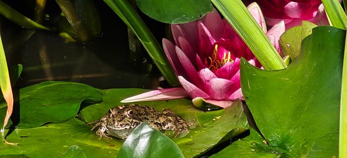 [Thumbnail for IMG20250531102314.jpeg]