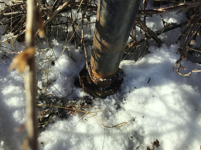 [Thumbnail for IMG_3174.JPG]