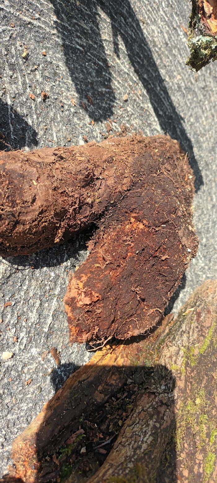 [Thumbnail for 20260306_143255.jpg]