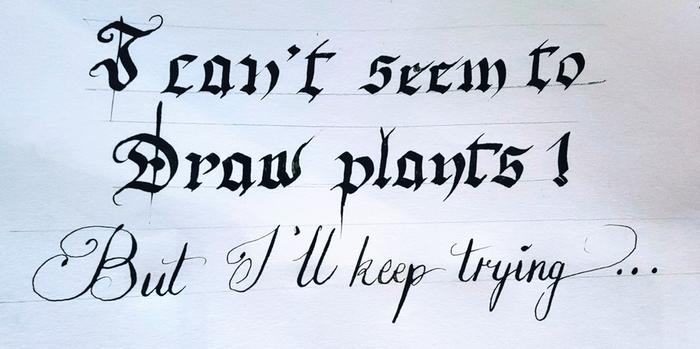 [Thumbnail for 20251228_205150-2.jpg]