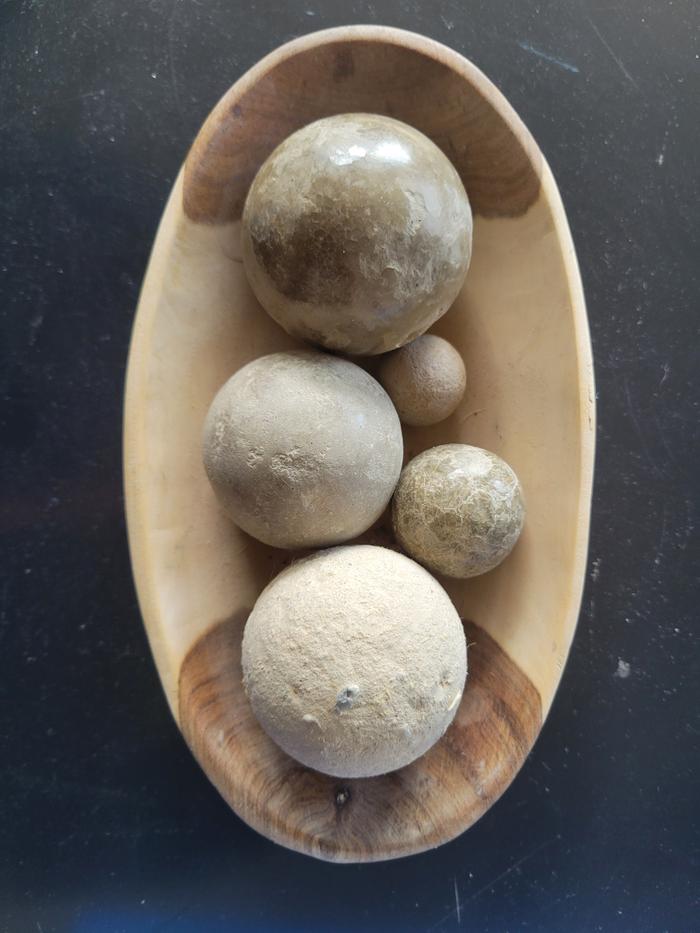 [Thumbnail for 20260105_133814.jpg]