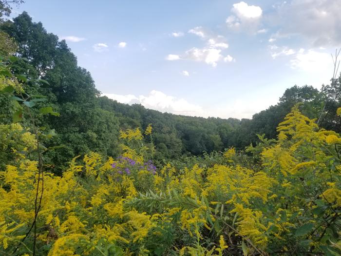 [Thumbnail for 20220921_173938.jpg]