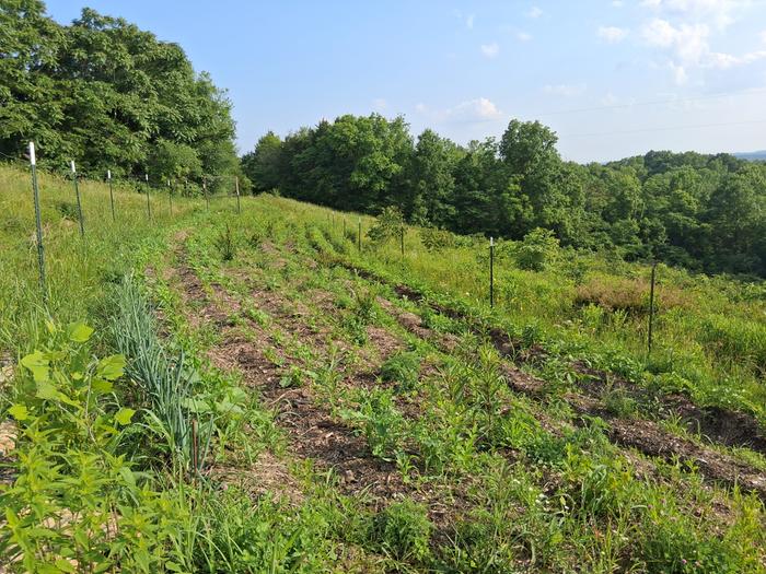 [Thumbnail for 20250610_182203.jpg]