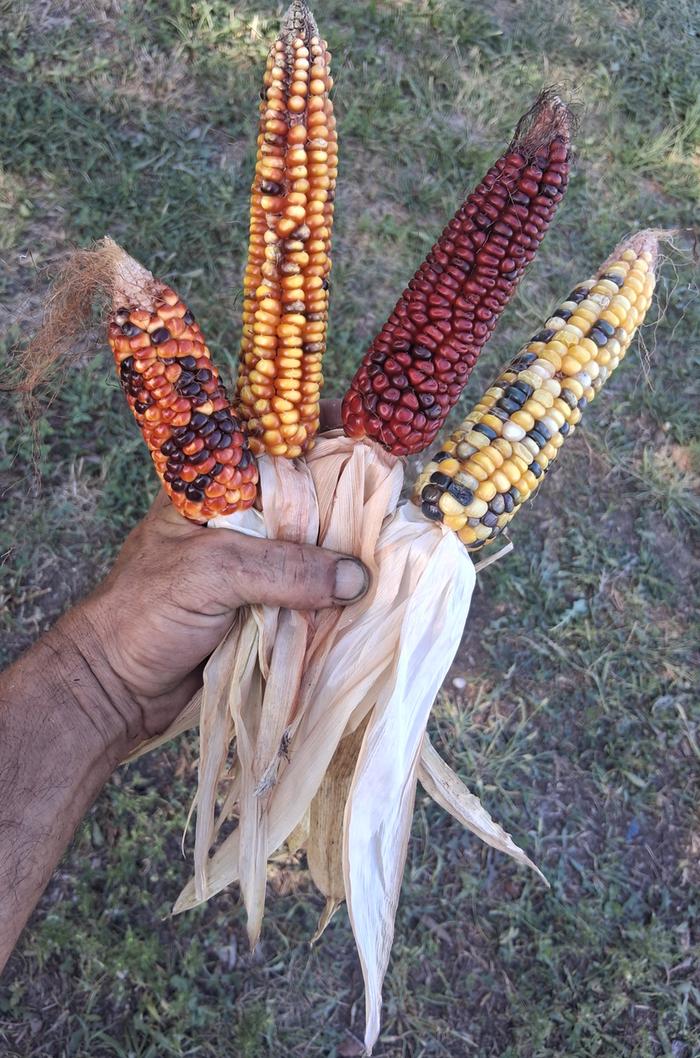 [Thumbnail for 20250818_173512.jpg]