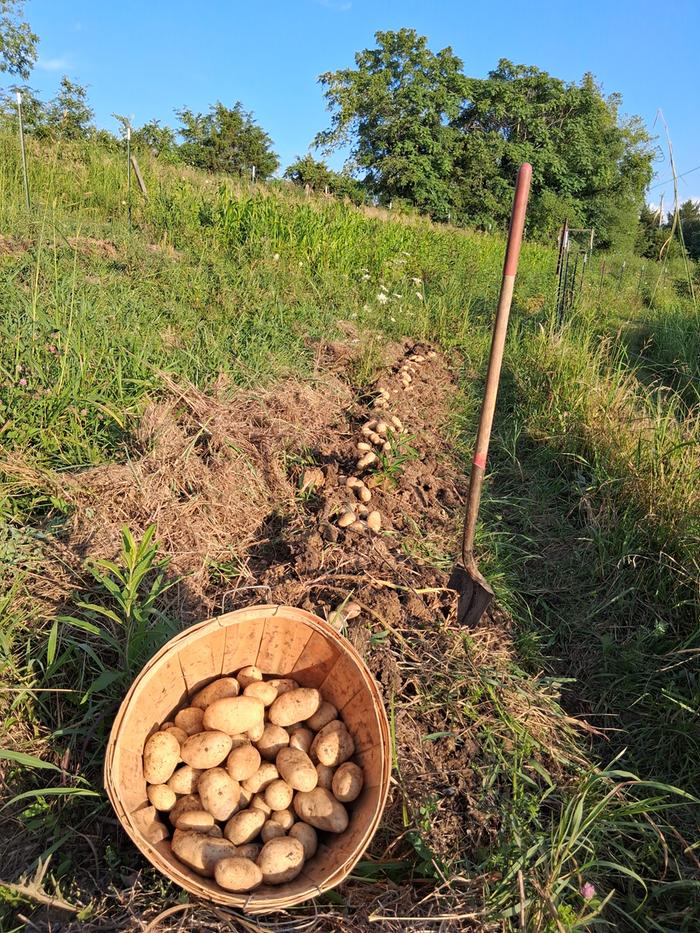 [Thumbnail for 20250714_194916.jpg]