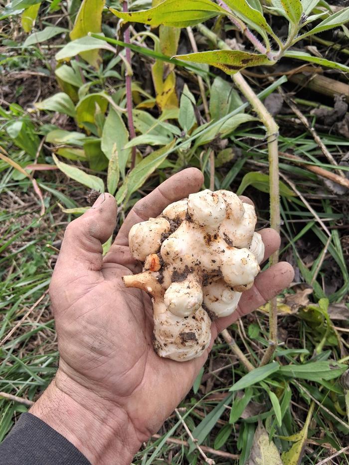 [Thumbnail for 20251025_132841.jpg]