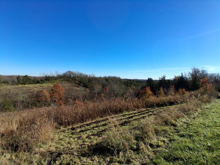 [Thumbnail for 20251116_145516.jpg]