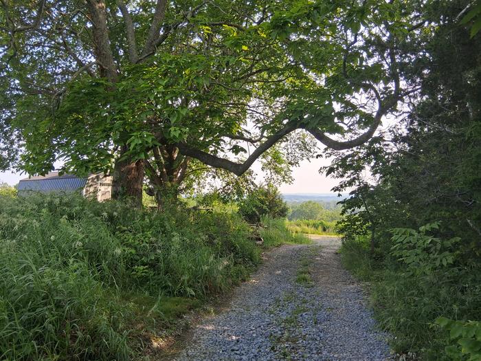 [Thumbnail for 20250610_182613.jpg]