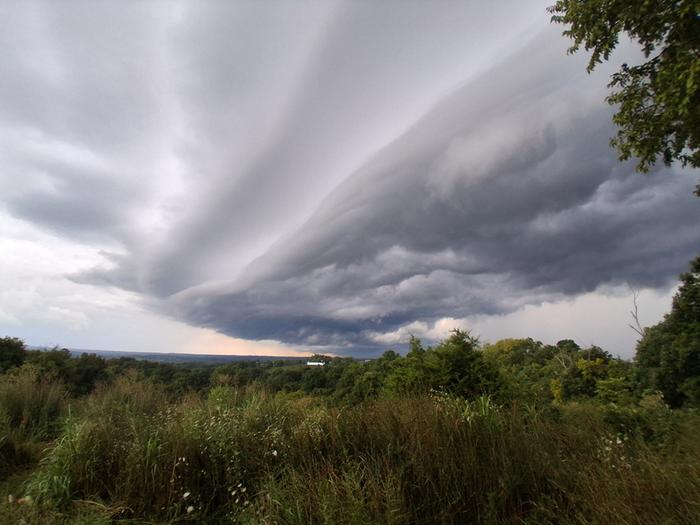 [Thumbnail for 20250728_200415.jpg]