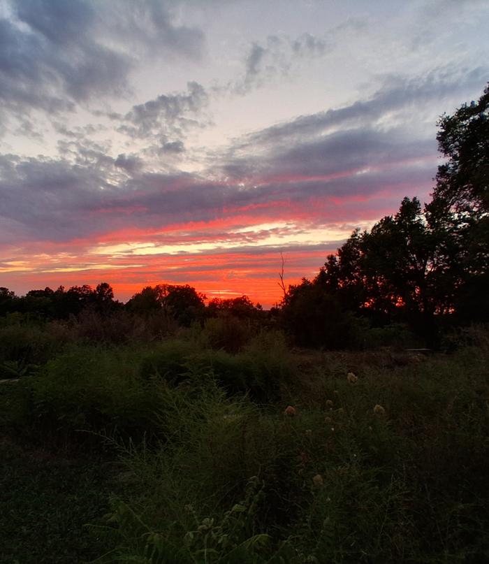 [Thumbnail for 20250823_202653(1).jpg]