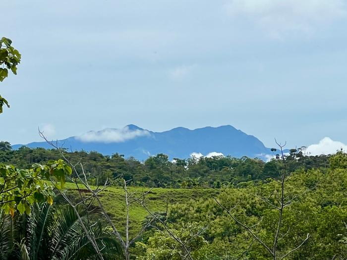 Mountain View from lot