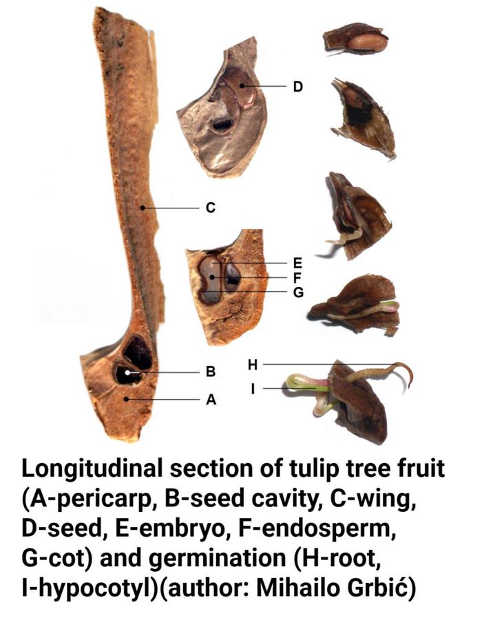 [Thumbnail for sketch-1767250232695.jpg]