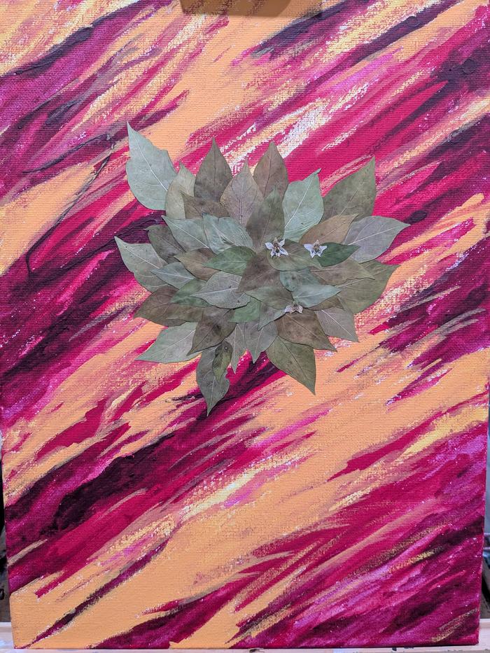 [Thumbnail for PXL_20260117_020838711.jpg]